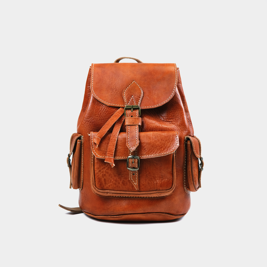 Buy Camel Craft Crunch Leather Backpack 1 Zipper Front 9 * 11 at Amazon.in